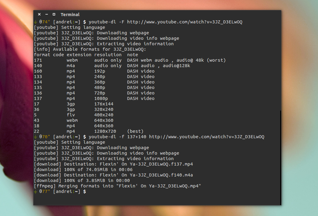 youtube-dl-merge