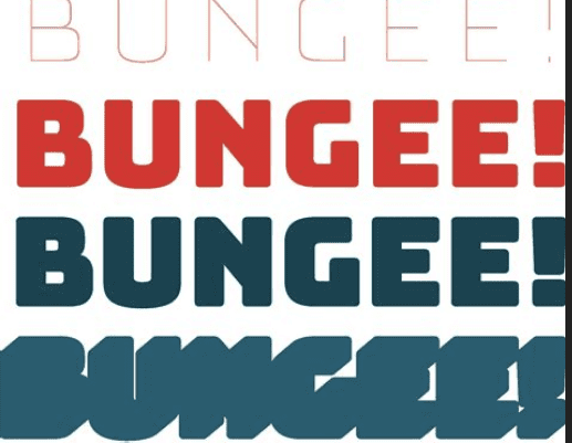 Bungee