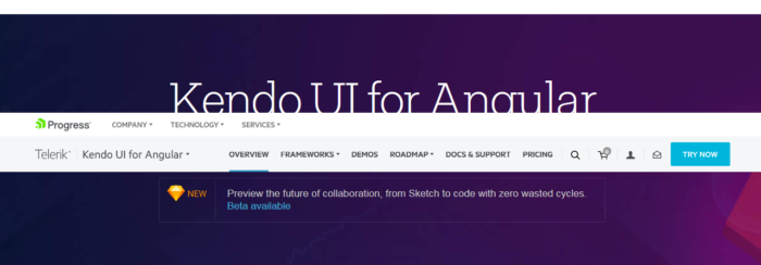 17 Best Angular UI framework for faster Angular Development