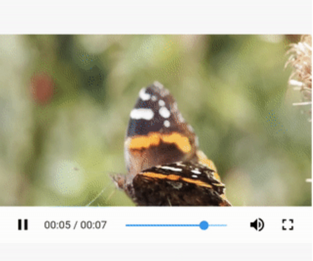 Flutter Media plugins