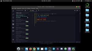  Vscode Python extensions