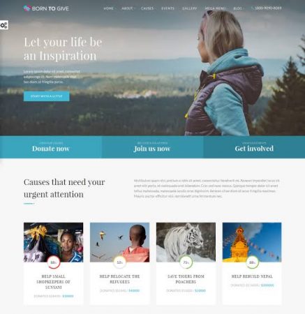 Top 20 Best NGO Website Templates - Fast and Elegant