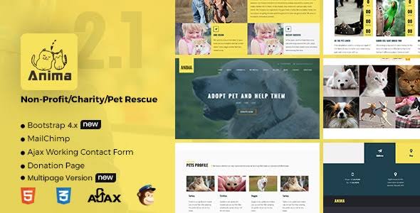 NGO Website Templates