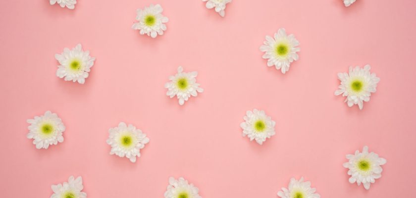 white and yellow flower on pink wall