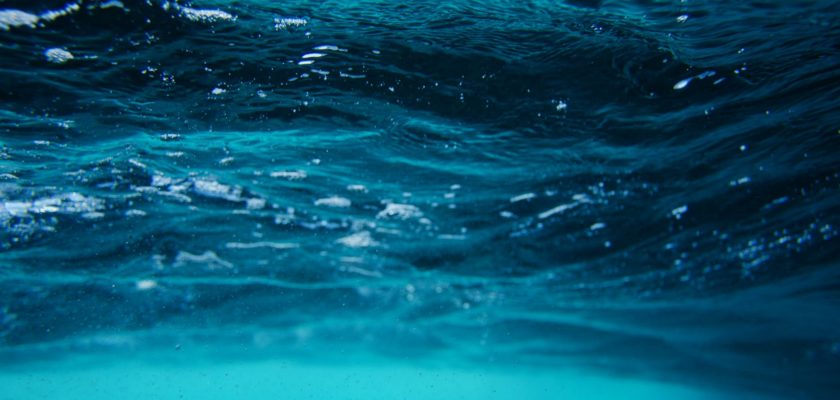 close up photo of water