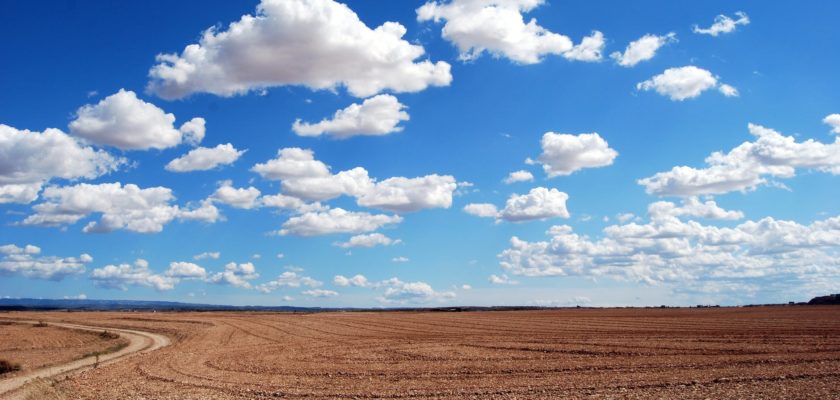 brown field and blue sky