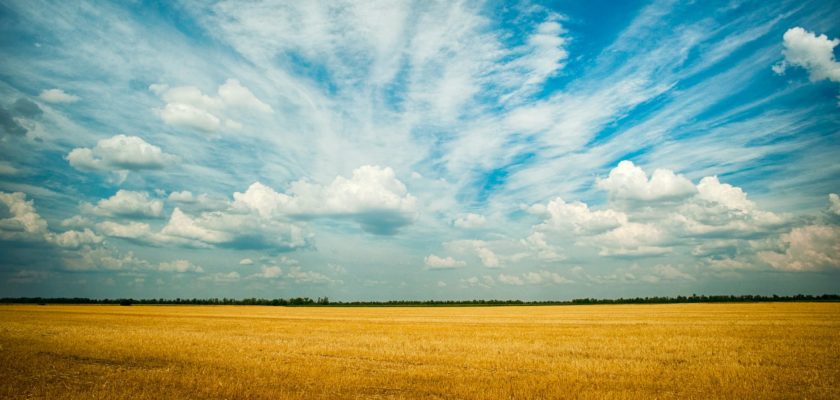 photo of grass field