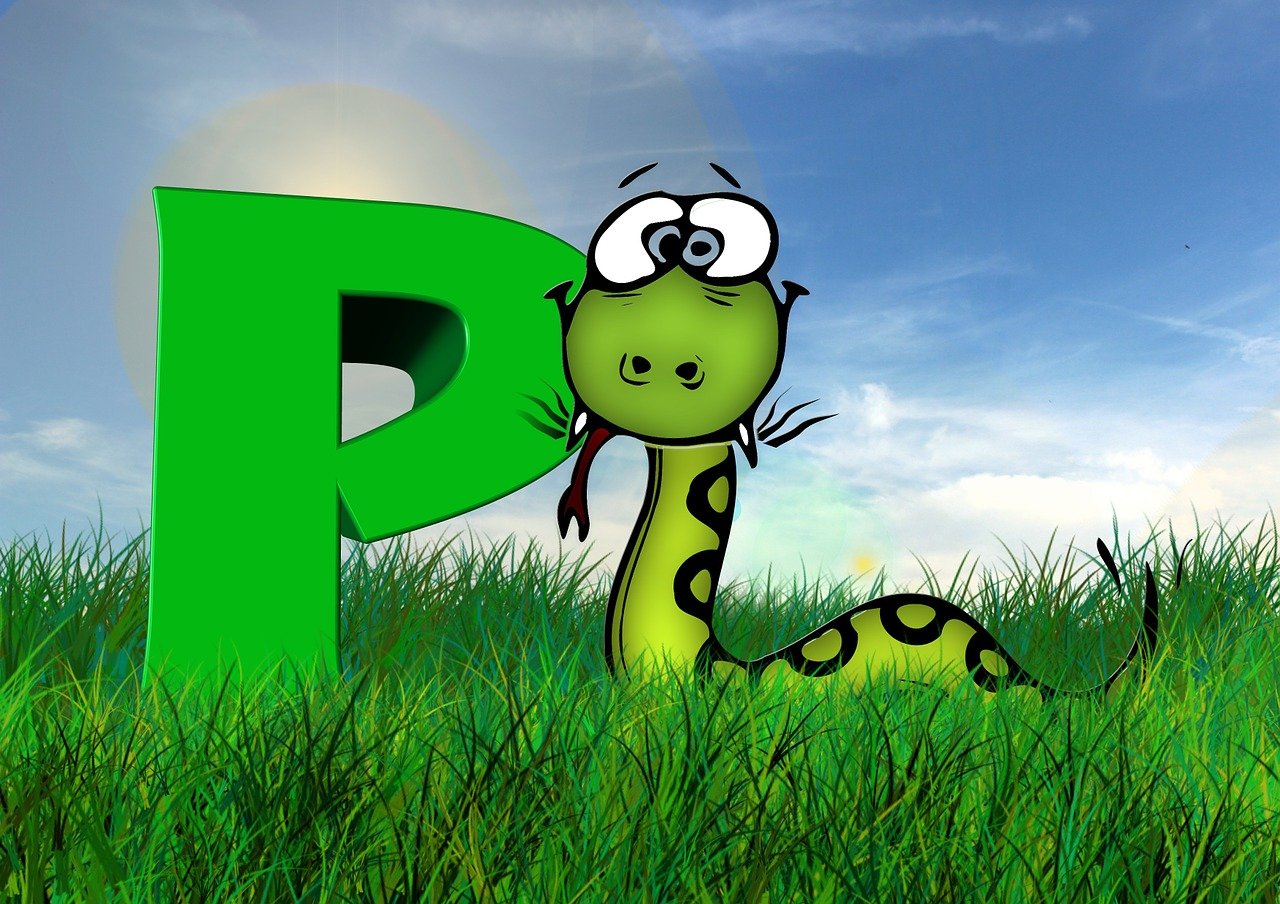 How To Become A Python Developer Step By Step Guide how-to-become-a-python-developer-step-by-step-guide